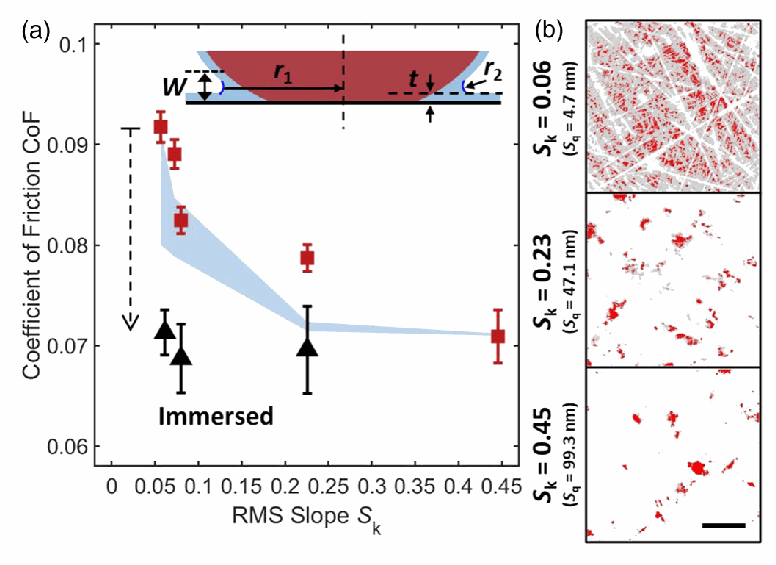 Friction versus surface slope, alongside calculated solid-contact regions (red) and capillary-wetted regions (grey). These are different areas of the interface.