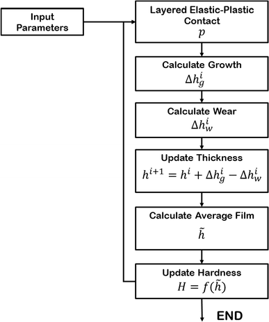 The published research algorithm couples contact stress, film growth and removal. Tribofilm-growth calculation is not a feature of the current TriboSolver release.